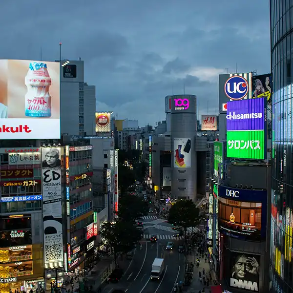 网站建设,小程序开发,公众号开发,商城开发